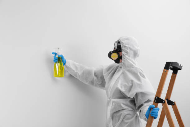 Best Residential Mold Inspection & Testing in Cherryvale, SC